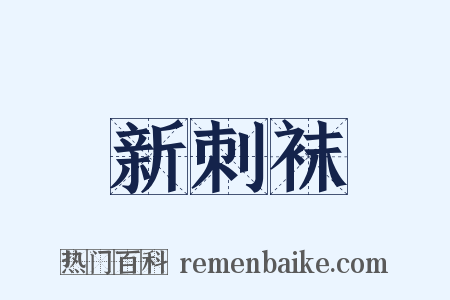 新刺袜是什么意思的图片